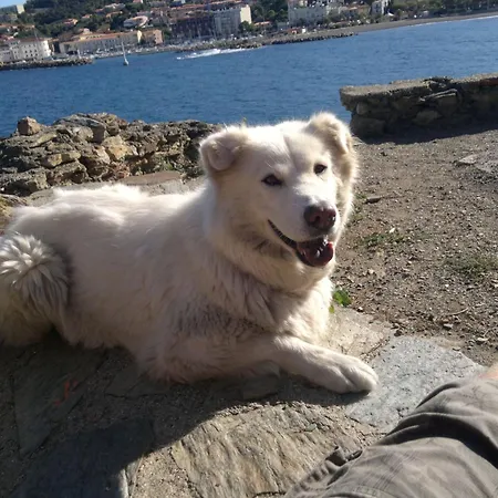 Kleines Mit Tollem Blick Auf By Interhome *